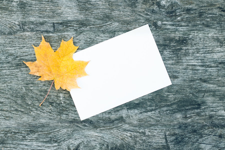 Sheet of white paper and a maple leaf on the old wooden table. Beautiful vintage style - hello autumn. Back to school. Close up view.の写真素材