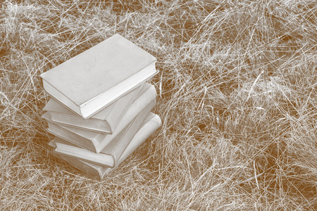 Stack of books on the grass. Vintage composition. The concept of education and learning. Outdoor office.の写真素材