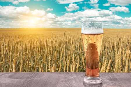Glass of cold beer at sunset on the background of wheat field and blue sky. Summer landscape. Recreation and relax. Fresh brewed ale.の写真素材