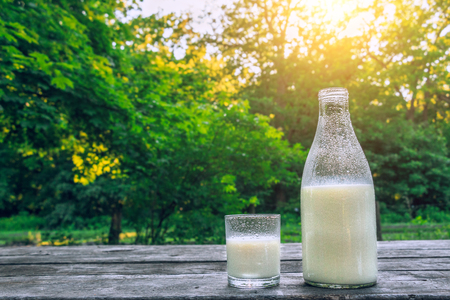 Bottle and glass of cold milk on the wooden table. Fresh dairy products. Nature background.の写真素材