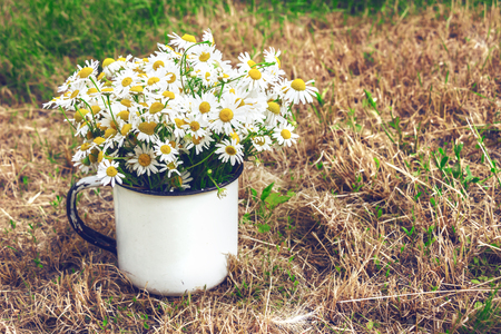 Bouquet of daisies on the yellow grass. Vintage composition. The summer mood.の写真素材