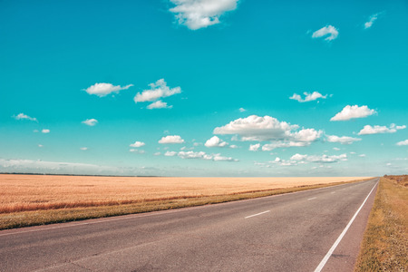 Asphalt road, blue sky with beautiful clouds and golden wheat field. Rural landscape. Sunny summer day.の写真素材