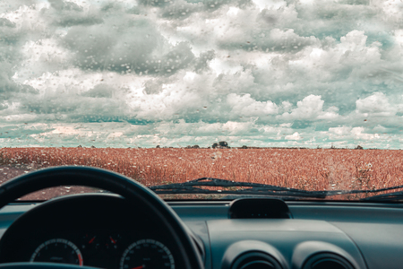 Rainy day in the car window. Wheat field after rain. Overcast weather and cloudy sky. Countryside landscape.の写真素材