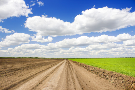 Country road and green field against a background of beautiful cloudsの写真素材