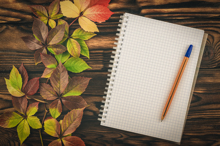 Notepad and pen with autumn leaves on a wooden tableの写真素材