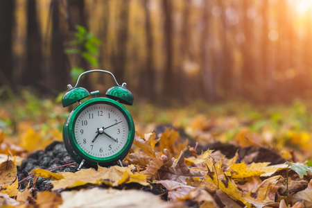 Autumn mood. Good morning. Nature wakes up. Change season. Back to school.の写真素材