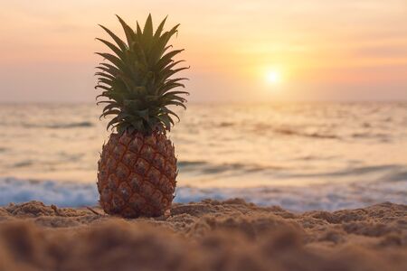 Ripe pineapple on the tropical beach at sunset. Vacation and summer weekends. Outdoor recreation. Vitamins food and summertime. Seashore.の写真素材