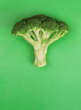 Broccoli isolated on green backgroundの写真素材