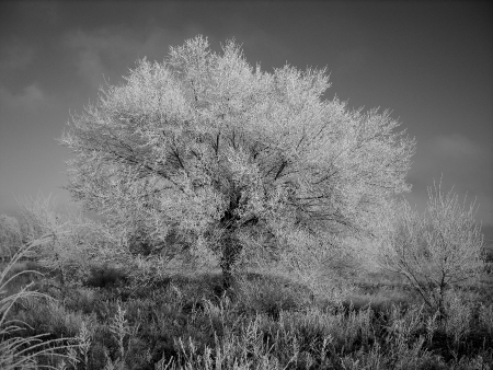 winter landscapeの写真素材