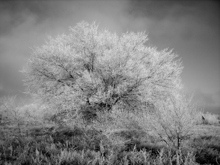 winter landscapeの写真素材