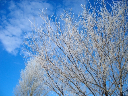 winter landscapeの写真素材