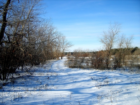 winter landscapeの写真素材