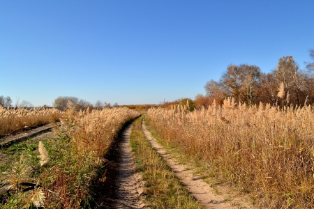 autumn landscapeの写真素材