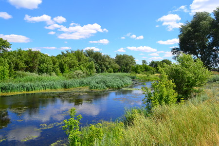 Summer landscapeの写真素材