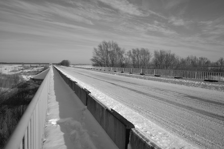 Black and white winterの写真素材