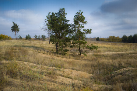 autumn landscapeの写真素材