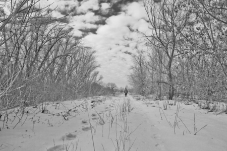 black and white winterの写真素材