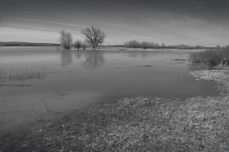 the high water on the riverの写真素材