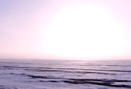 Seasonal nature image: landscape with misty steppe at winter (snow plain - solitude concept). Can be...