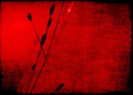 Ecological nature vintage grunge fabric textured red image: plant close up with blurred  background. There is an empty copy space to insert some text or image.  Can be used as a wallpaper or postcard.の写真素材