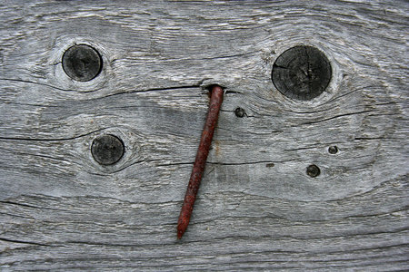 Fragment of an old aged wooden fence pattern with rusty nail. Can be used as a background or wallpaperの写真素材