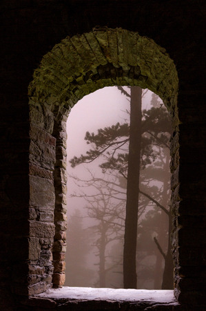 Forest with pine trees in fog and mist visible through a frame of an old ancient stone window.の写真素材