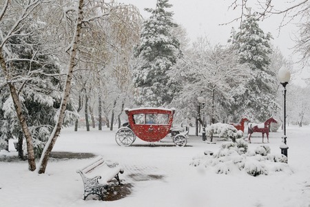 During spring snowfall in city park. Russiaの写真素材