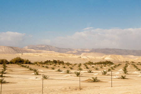 Desert and mountain scenery, Israel