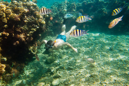 Man snorkeling in transparent waters