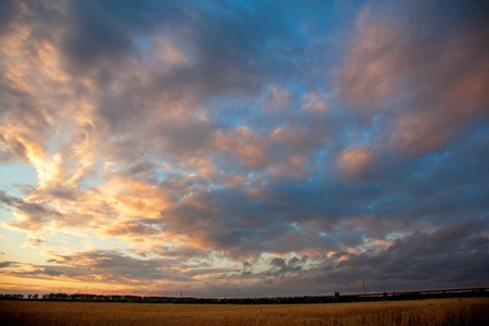 Dark clouds over wheat fieldの写真素材
