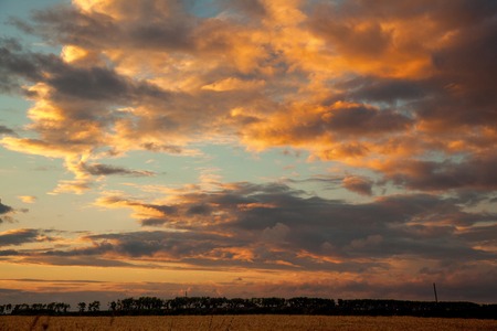 Dark clouds over wheat fieldの写真素材