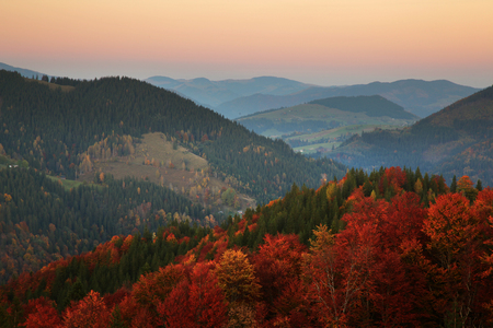 Autumn colors. Mountain forest in morning lightの写真素材