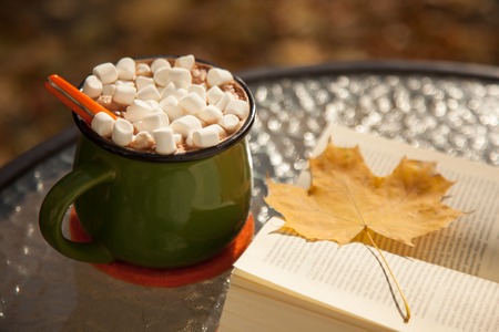 Mug of Hot Chocolate and Marshmallows with bookの写真素材