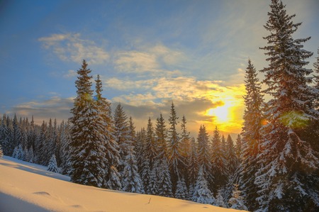 Winter landscape on a sunset. Mountains Carpathians, Ukraineの写真素材