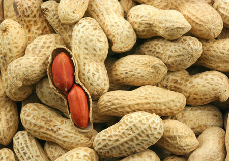 Peanuts