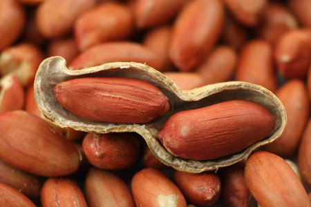 Peanuts