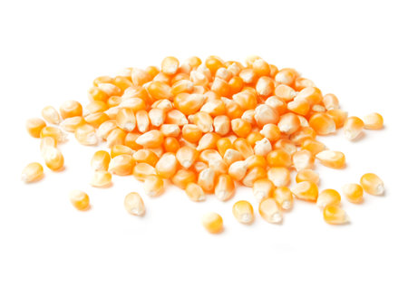 Dried corn used for making popcorn, isolated on white