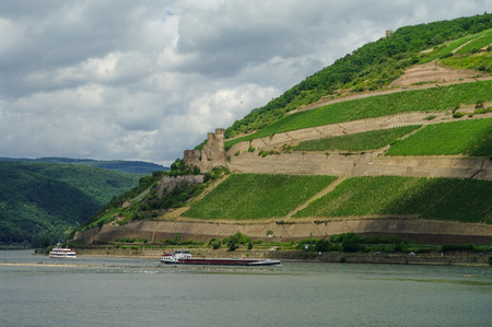 Cargo ship, medieval castle fortress Ehrenfels and vineyards on the slope of Rhine river bank, Ruedelsheim, Hessen, Germanyのeditorial素材