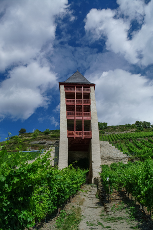 Medieval village Bacharach. Tower of city wall in slope of the hill, covered by wineyard. Rihne vally, Germany.のeditorial素材