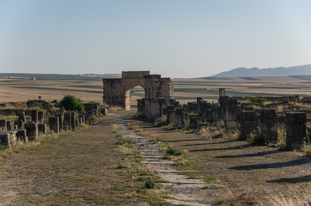 Triumphal arch and Decumanus Maximus, the main street of Volubilis, a UNESCO world heritage site in Moroccoの写真素材