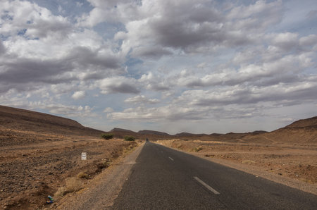 Road through Morocco steppe landscape with trees and mount at background. Area between Atlas mountains range and Sahara desert.の写真素材