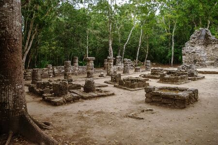 Ruins of mayan Pyramid in Coba. Mexico.の写真素材