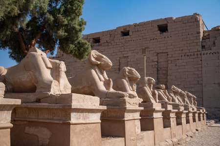Avenue of the ram-headed Sphinxes. Karnak Temple. Luxor, Egyptの写真素材