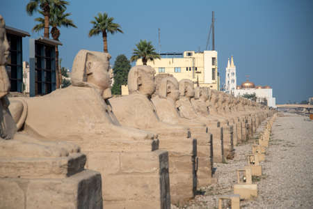 Avenue of Sphinxes next to Luxor Temple (Luxor, Egypt). close up and blue skyの写真素材