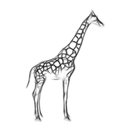 Sketch of shark on white background isolatedの写真素材