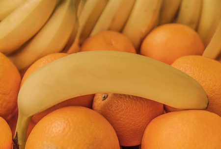 Ripe fresh fruits, yellow bananas and orange orangesの写真素材