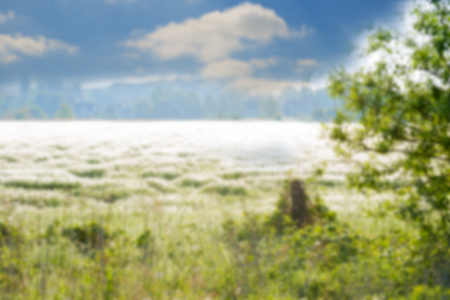 Blurred background texture, beautiful morning landscape in defocusの写真素材
