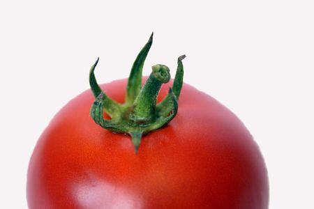 tomato isolated on whiteの写真素材