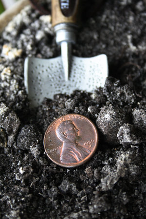 Concept of profit: Treasure of the liliputian - 1 dime