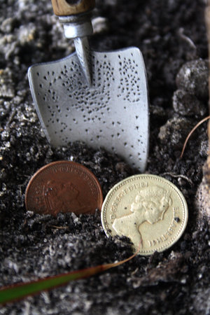 Concept of profit: Treasure of the liliputian - american coinsの写真素材